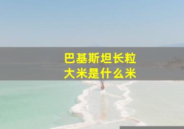 巴基斯坦长粒大米是什么米