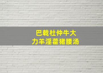 巴戟杜仲牛大力羊淫藿猪腰汤