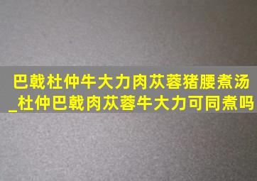 巴戟杜仲牛大力肉苁蓉猪腰煮汤_杜仲巴戟肉苁蓉牛大力可同煮吗