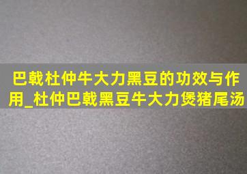 巴戟杜仲牛大力黑豆的功效与作用_杜仲巴戟黑豆牛大力煲猪尾汤