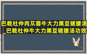 巴戟杜仲肉苁蓉牛大力黑豆猪腰汤_巴戟杜仲牛大力黑豆猪腰汤功效