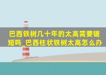 巴西铁树几十年的太高需要锯短吗_巴西柱状铁树太高怎么办