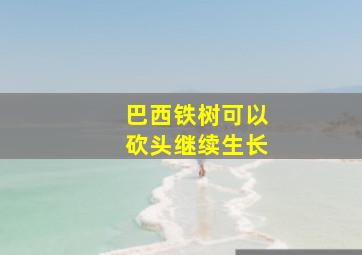 巴西铁树可以砍头继续生长