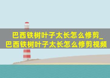 巴西铁树叶子太长怎么修剪_巴西铁树叶子太长怎么修剪视频