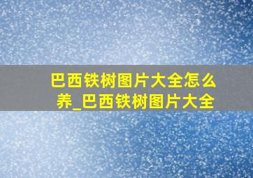 巴西铁树图片大全怎么养_巴西铁树图片大全