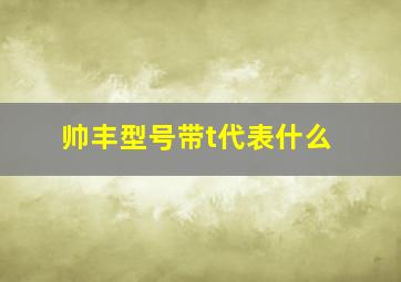 帅丰型号带t代表什么