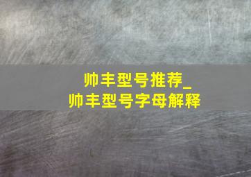 帅丰型号推荐_帅丰型号字母解释