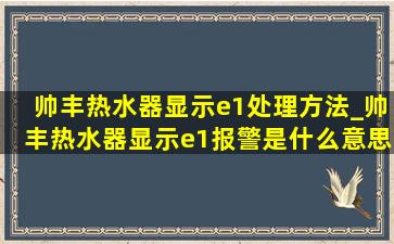 帅丰热水器显示e1处理方法_帅丰热水器显示e1报警是什么意思