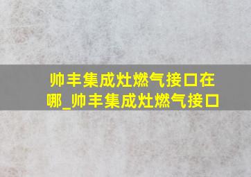 帅丰集成灶燃气接口在哪_帅丰集成灶燃气接口