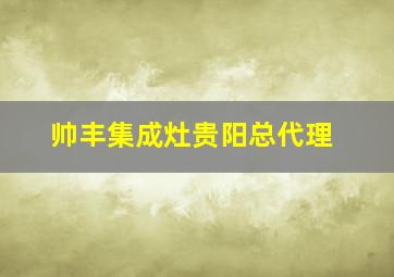 帅丰集成灶贵阳总代理