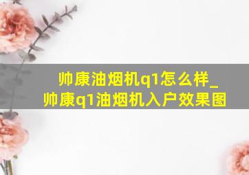 帅康油烟机q1怎么样_帅康q1油烟机入户效果图