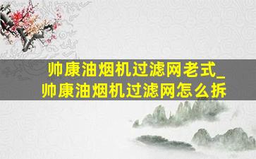 帅康油烟机过滤网老式_帅康油烟机过滤网怎么拆