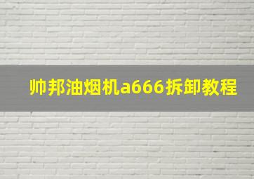 帅邦油烟机a666拆卸教程