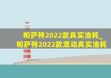 帕萨特2022款真实油耗_帕萨特2022款混动真实油耗