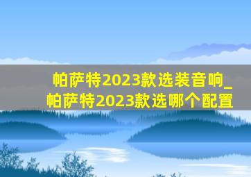 帕萨特2023款选装音响_帕萨特2023款选哪个配置