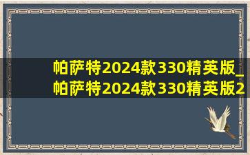 帕萨特2024款330精英版_帕萨特2024款330精英版2.0t