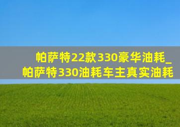 帕萨特22款330豪华油耗_帕萨特330油耗车主真实油耗