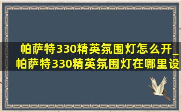 帕萨特330精英氛围灯怎么开_帕萨特330精英氛围灯在哪里设置