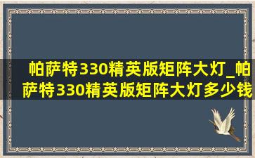 帕萨特330精英版矩阵大灯_帕萨特330精英版矩阵大灯多少钱