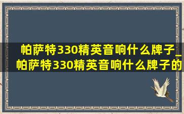 帕萨特330精英音响什么牌子_帕萨特330精英音响什么牌子的