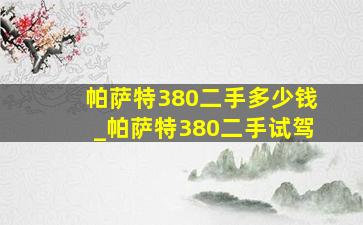 帕萨特380二手多少钱_帕萨特380二手试驾