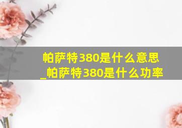 帕萨特380是什么意思_帕萨特380是什么功率