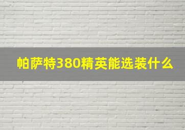 帕萨特380精英能选装什么