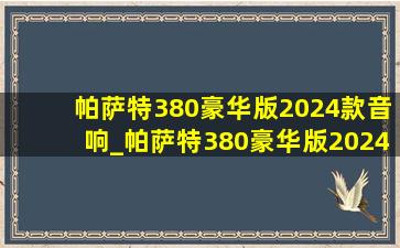 帕萨特380豪华版2024款音响_帕萨特380豪华版2024款音响效果