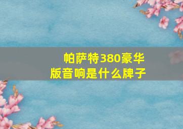 帕萨特380豪华版音响是什么牌子