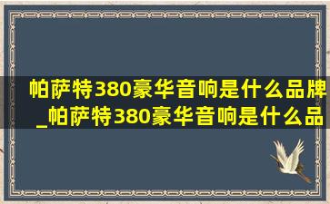 帕萨特380豪华音响是什么品牌_帕萨特380豪华音响是什么品牌的