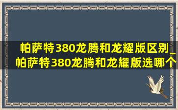 帕萨特380龙腾和龙耀版区别_帕萨特380龙腾和龙耀版选哪个