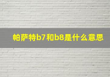 帕萨特b7和b8是什么意思