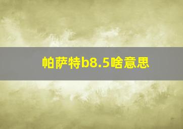 帕萨特b8.5啥意思