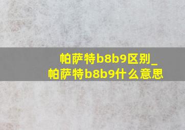 帕萨特b8b9区别_帕萨特b8b9什么意思