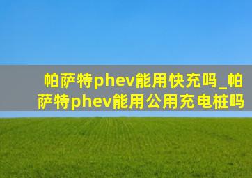 帕萨特phev能用快充吗_帕萨特phev能用公用充电桩吗