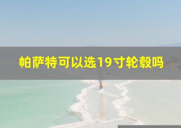 帕萨特可以选19寸轮毂吗