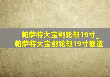 帕萨特大宝剑轮毂19寸_帕萨特大宝剑轮毂19寸锻造