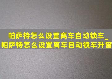 帕萨特怎么设置离车自动锁车_帕萨特怎么设置离车自动锁车升窗