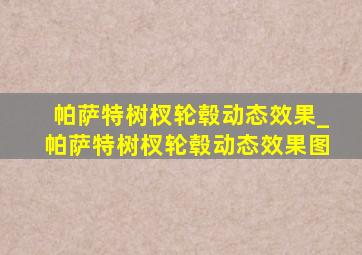 帕萨特树杈轮毂动态效果_帕萨特树杈轮毂动态效果图