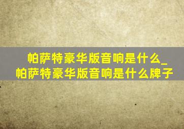 帕萨特豪华版音响是什么_帕萨特豪华版音响是什么牌子