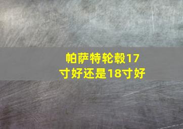 帕萨特轮毂17寸好还是18寸好