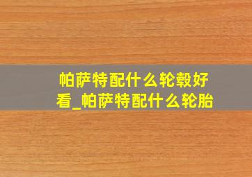 帕萨特配什么轮毂好看_帕萨特配什么轮胎