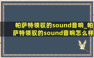 帕萨特领驭的sound音响_帕萨特领驭的sound音响怎么样