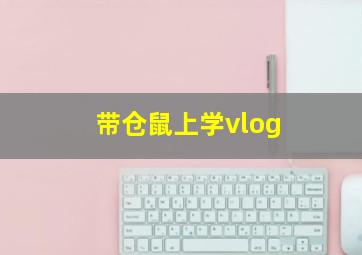 带仓鼠上学vlog