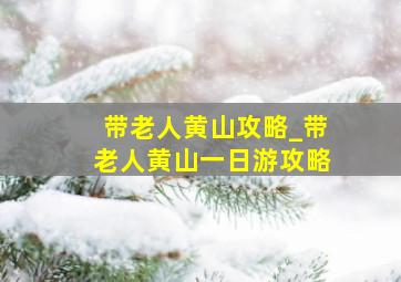 带老人黄山攻略_带老人黄山一日游攻略