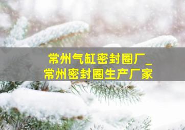 常州气缸密封圈厂_常州密封圈生产厂家