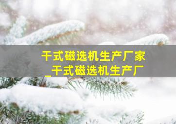 干式磁选机生产厂家_干式磁选机生产厂