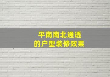 平南南北通透的户型装修效果