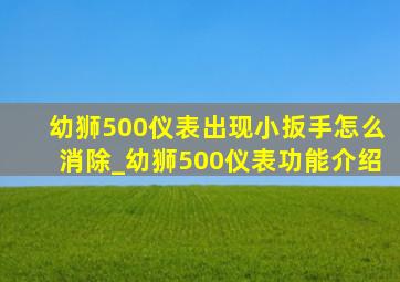 幼狮500仪表出现小扳手怎么消除_幼狮500仪表功能介绍