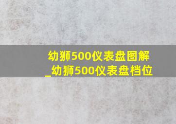 幼狮500仪表盘图解_幼狮500仪表盘档位